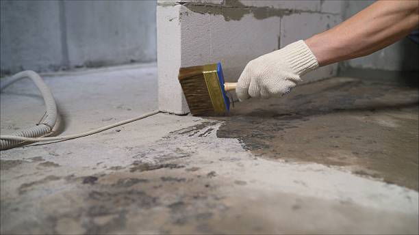 Top rated local Basement Waterproofing specialists in Bon Air, VA